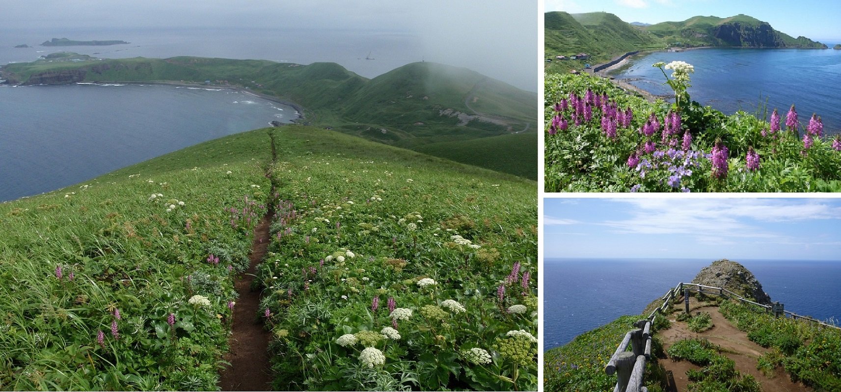 🏞️ 맑은 바다 곶 (스카이 미사키) 이미지 8